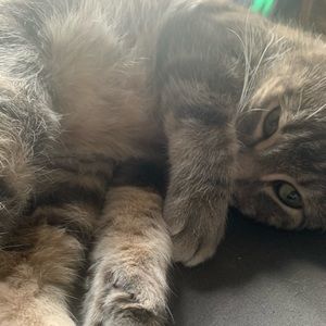 Meet your Posher, Kelsey